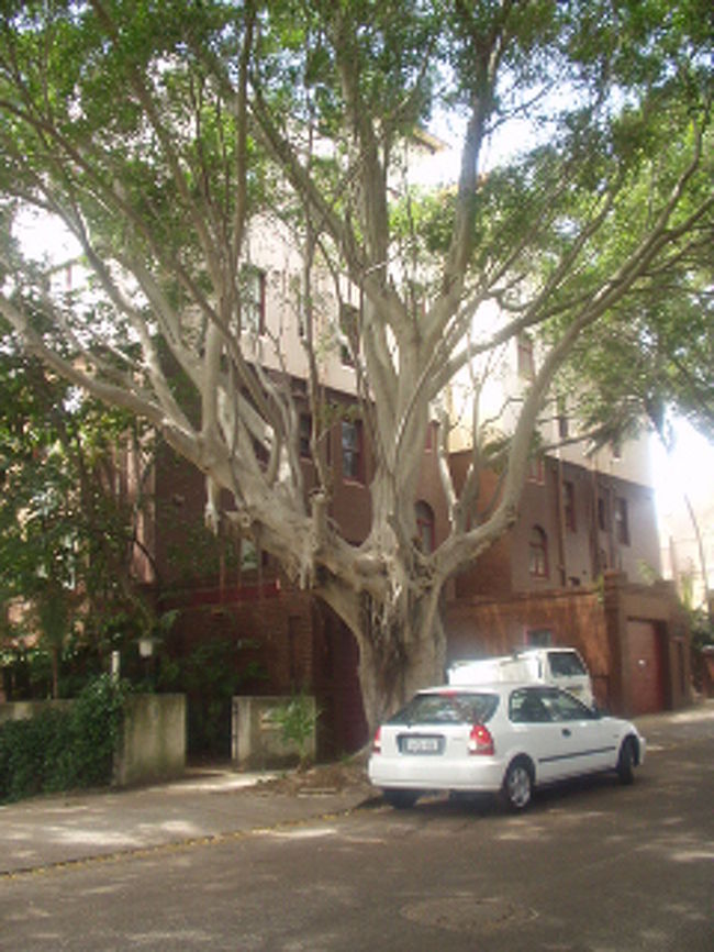 滞在先のアパートメント。中野エレベーターのドアが何と手動でした。