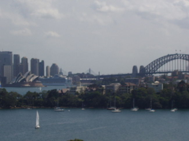 動物園は小高い丘の上にあり、ここからオペラハウス等が見渡せる。