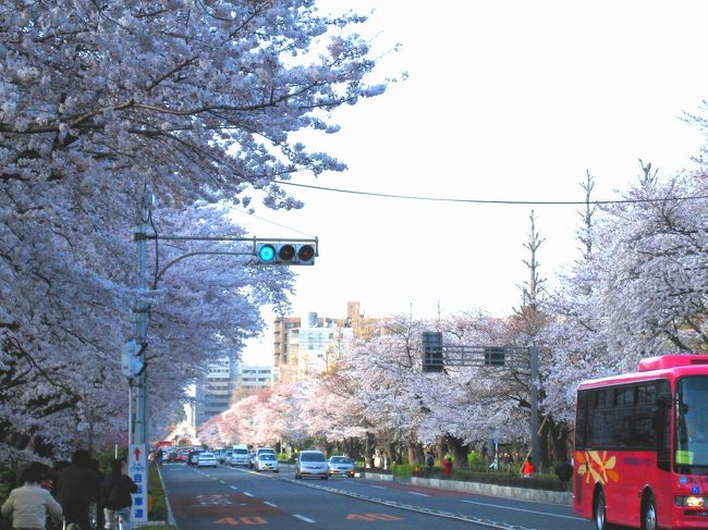 桜の中の三角の駅舎は<br />今年が見納めでしょうか。