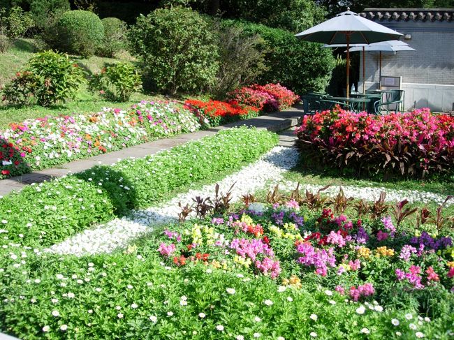 花もたくさん咲いていました。春ですね。