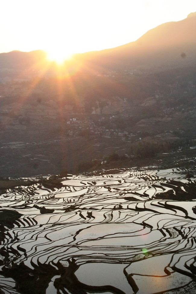 多依樹の朝日。<br />あまり色が変わらずザンネン。