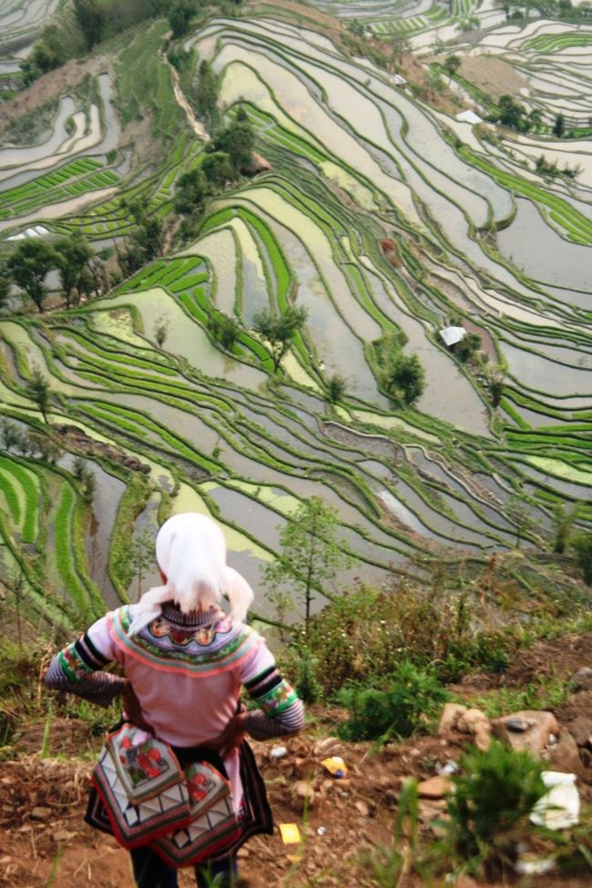 よく造ったよね・・・本当すごい。