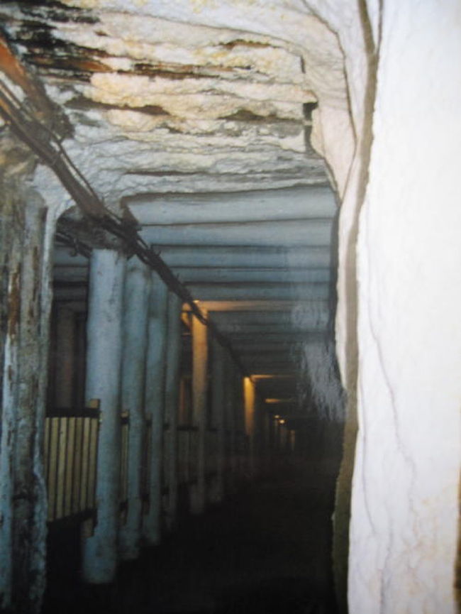 沢山ある中の部屋と部屋とを結ぶ通路です。<br />塩がこんなにも噴出しているなんてびっくりして、思わずみんながいないときにシャッターを切りましたｗ<br />館内は湿気が多く、ヒンヤリしています。