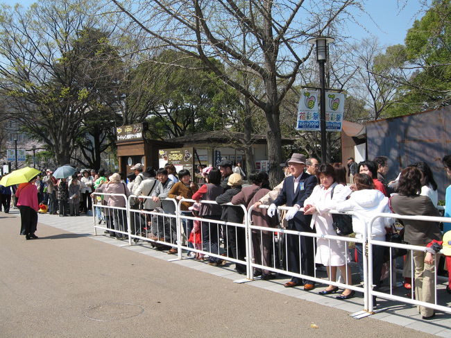 この行列は何なにナニ？？？？