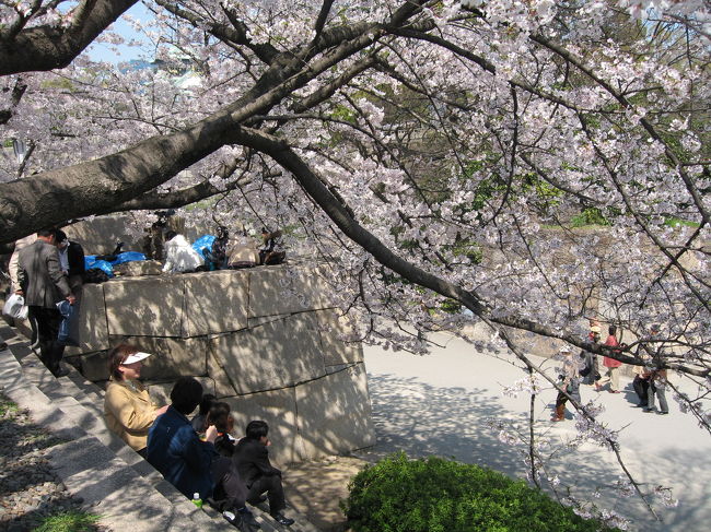 お城での<br />正しい桜の鑑賞の方法です。