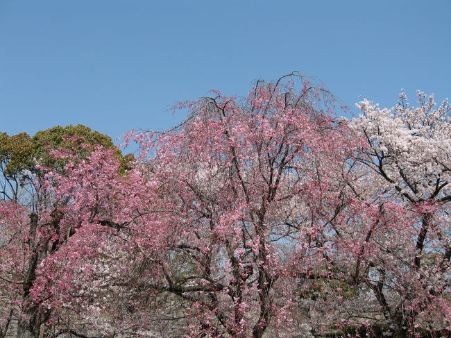ため息が出るくらい美しい。