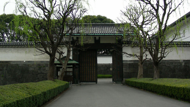 皇居東御苑の桜