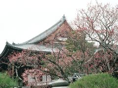 真如堂のお隣の金戒光明寺。