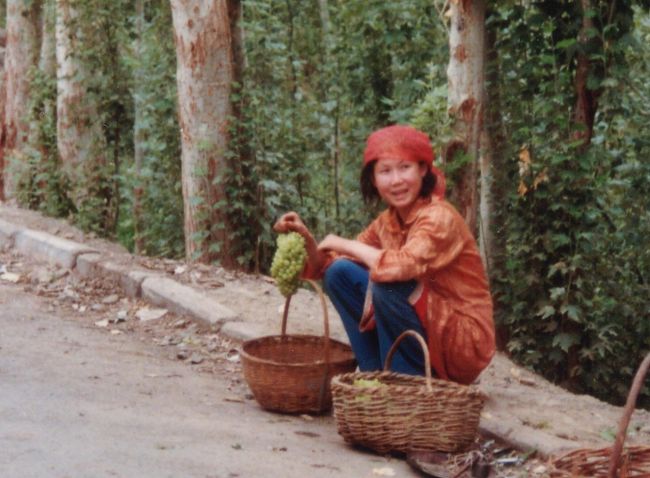 葡萄、いかがですか？