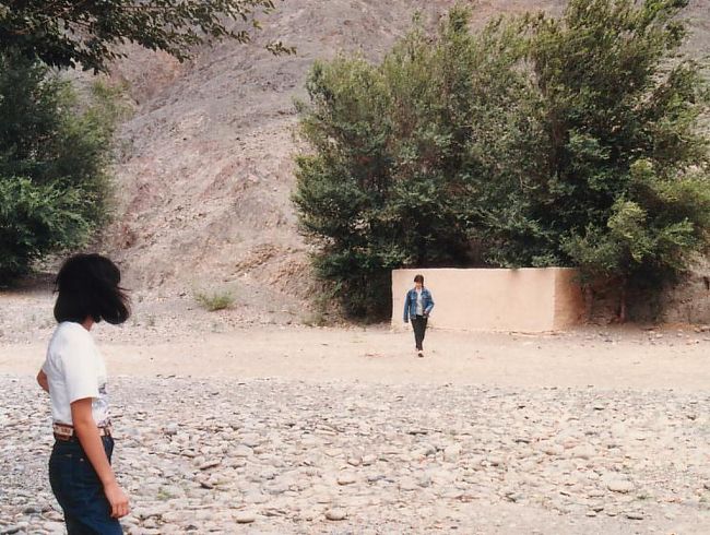 ウルムチへの帰路。<br />はい、休憩、とバスが止まった、そこには……<br />泥土でできた壁。ペンキで大きく「女」と書かれていた。隣の壁には「男」と。床も天井もなし。心地良い日陰を作っていた樹の肥料は私たちの……。<br />もちろん、使いましたとも。ええ、もう怖いものはなくなりました。<br />いま、ちょうどトイレから出てきたのが、Tちゃん。この素敵な旅に誘ってくれてありがとう。Tちゃんのお父様、共に旅をした皆様、お世話になりました。そして、快く送り出してくれた両親に感謝m(_._)m<br />　　過ぎし日のシルクロード　＜完＞<br />