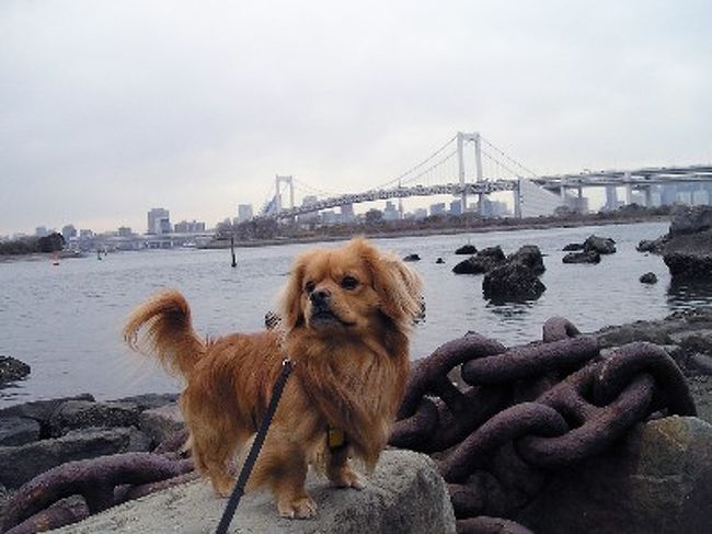 東京へgo ２ お台場へ お台場 東京 の旅行記 ブログ By ネオ くらきちさん フォートラベル