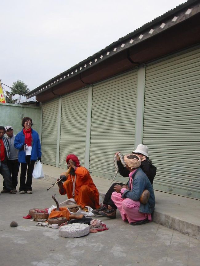 初めて見た、生“ヘビ使い”。