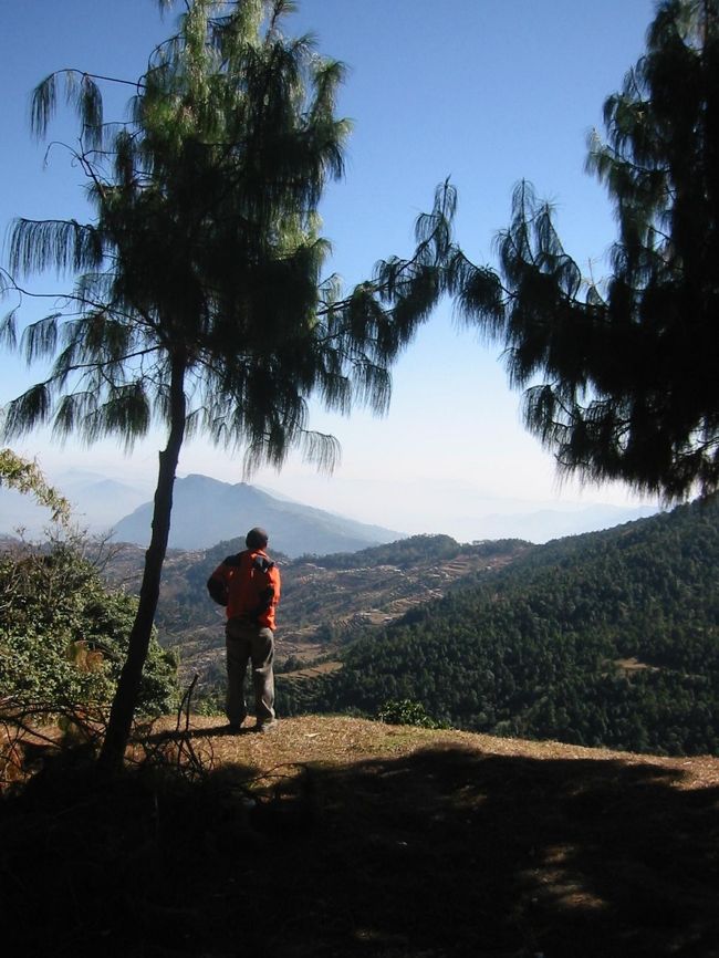 私達のガイドのたそがれる背中。