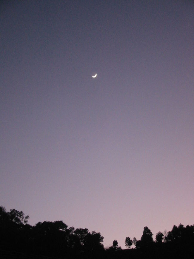 下弦の月ですが、円の上の輪郭が見えるのがわかりますかね？