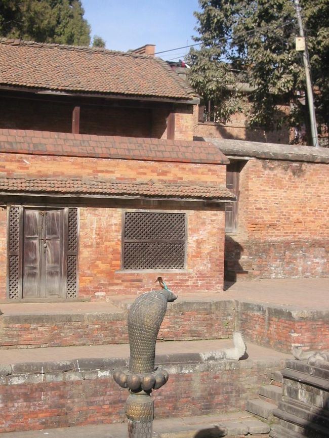 きれいな色の鳥がとまっている。