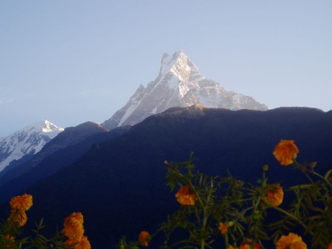 ガンドゥルックでは花も咲いています。フィッシュテイルとの写真。