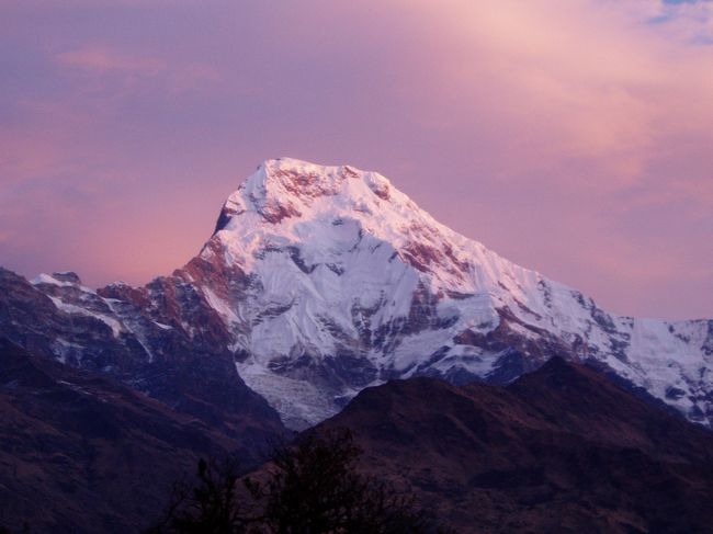 早朝のダウラギリ。プーンヒルから。
