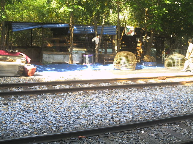 大きな籠はニワトリを飼っている。<br />住まいである小屋風は開放的で、ニワトリの監視に役立っている。