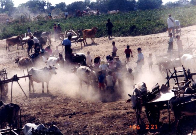 品物を受け取って牛車に乗せ、家路に付く人々。カサカサに乾いた大地から、もうもうと土煙が立ち上ります。