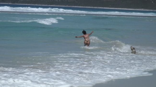 女性といぬ　エスペランスのビーチ。