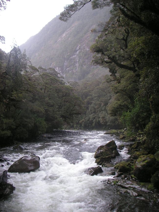 滝をつくる川。<br /><br />これを見るためにこの道があったのですね。<br />あー、来てよかった、見てよかったとバスの中で武勇伝を・・・<br /><br />「ズボン、ずいぶん濡れちゃったわねぇ」<br />そればかり皆様に心配されてしまいました。