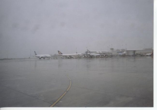 オークランド空港。<br /><br />国際空港らしく、いろいろな機体が並んでいます。