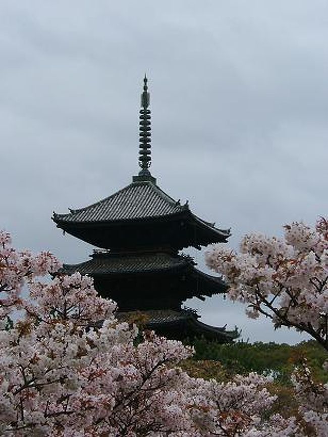 そうだ 京都行こう 仁和寺 三十三間堂 京都の旅行記 ブログ By オリさん フォートラベル