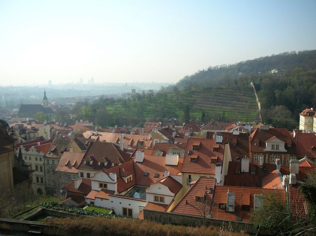 綺麗なレンガ色の屋根をプラハ城から望みました。