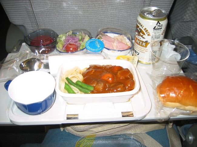 大人は、ビーフシチューを注文しました。もちろんビールもね。う〜ん、味は・・・でも、パパはこれでぐっすり眠りにつきました。<br />デンパサール空港到着し入国審査をすませ　空港でポーターが待ってましたとばかりにトランクを運ぼうとしてきました。「ノーサンキュー」で断りました。空港ポーターについては事前知識を得ていたので請求されずに済みました。空港で両替し、レートは1円→76RP<br />空港ではJTBの現地係員が迎えに来ててくれていた。JTBのシャトルバスでホテルに向かった。 