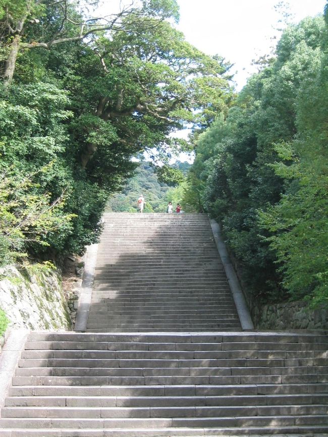 トムは自転車を持っていません