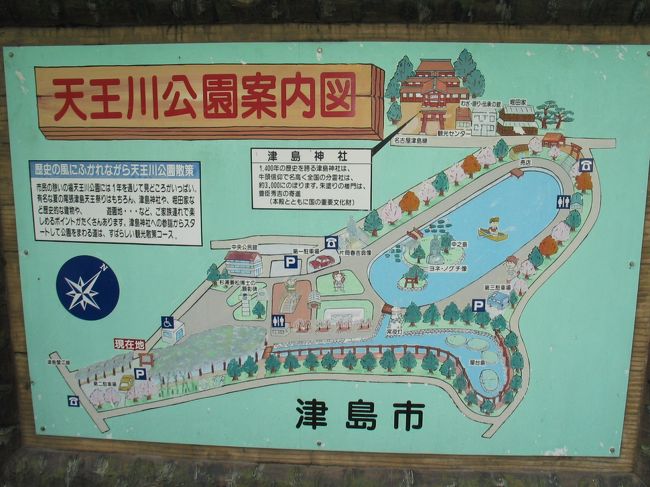 ★天王川公園 (津島市) 藤まつり ★Wisteria festival of Tenno river park (Tsushima-shi).