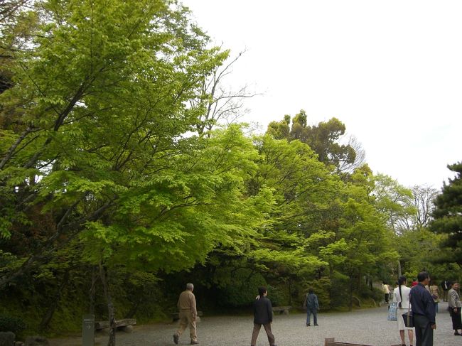 Green Green<br /><br />平等院の敷地内、鮮やかな緑が目を引く。