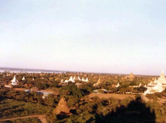 パガン、寺院の上から撮影。<br />写真が良くないので、あのときの感動を伝えられないのが残念！赤土と緑の木々、遠くに見えるイラワジ川、そしてパゴダの群れ。本当にすばらしかったです！！