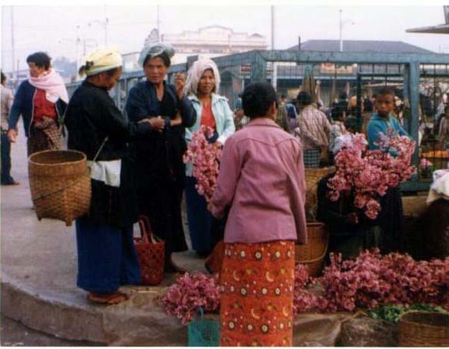 タウンジーの市場。桜の季節でした。
