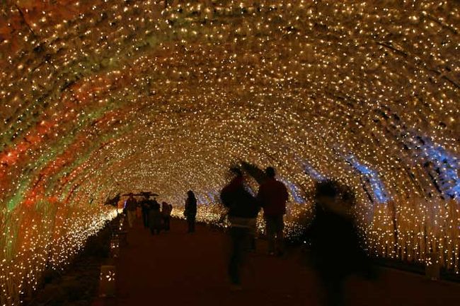 約３００メートルのイルミネーションのトンネルです。