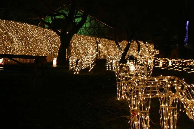 外側から見たトンネルです。