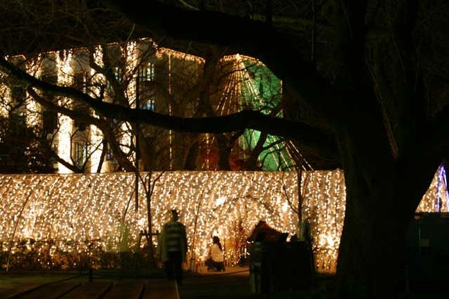 ホテルの壁面も奇麗にイルミが…。