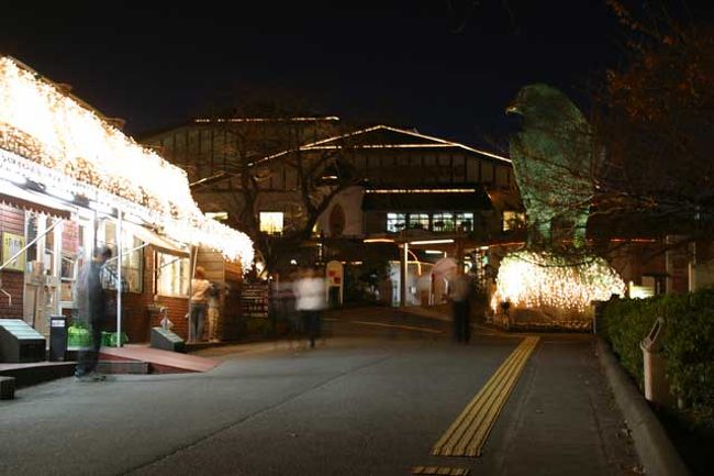 至る所でイルミだらけです。