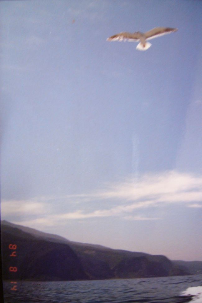 とらべるまんの北海道84夏 後編』北海道の旅行記・ブログ by とらべるまんの北海道84夏 後編』北海道の旅行記・ブログ by