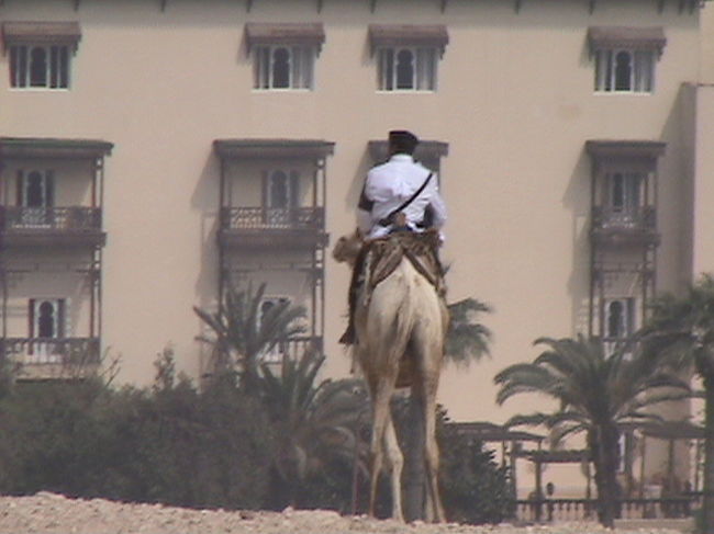 ラクダ警備隊（というのかどうかは知らないが）の後姿。