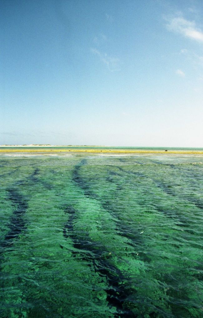 那覇空港に到着です。<br />本州は梅雨真っ只中とういのに、<br />沖縄は2日前に梅雨が明け、常夏でした。<br /><br />早速、那覇から船で1時間程、<br />チービシとうい場所でダイビングです。<br />なんて海が綺麗なのでしょう。<br />