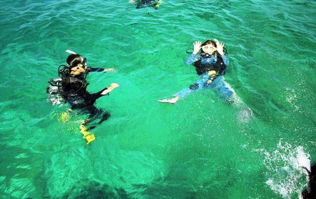 「いってらっしゃい〜」<br />3人は潜っていきました。<br />私は泳げないので1人でシュノーケリングです。<br />沢山の魚と戯れました。