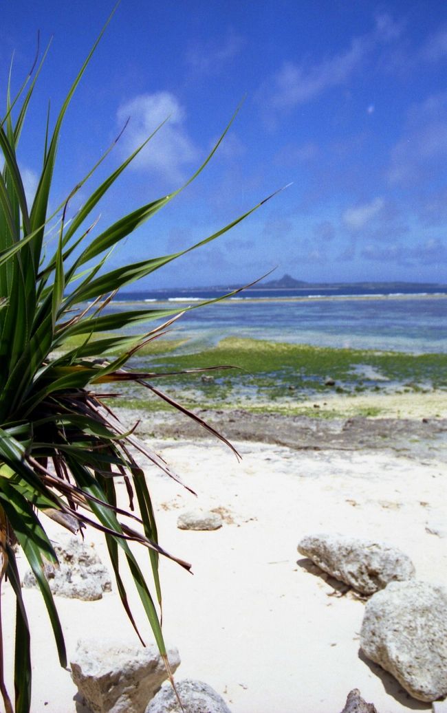 3日目は本部へドライブ。<br />「美ら海水族館」へ行きます。<br />途中、付近の瀬底ビーチに立ち寄ってパチリ☆