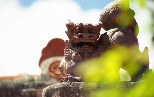 宜野湾にある知人の実家に立ち寄らせて<br />もらいました。<br />写真は屋根に居たシーサーです。<br />突然にもかかわらず、<br />豪華なもてなしをして頂き、<br />カチャーシーまで伝授してもらいました。<br /><br />私どんどん沖縄に魅了されていきます…<br />