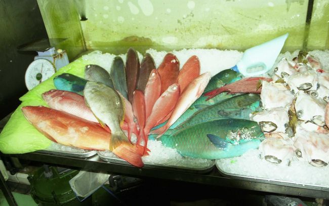 市場にはこんな魚が並んでいます。<br />美味しいのかしら？<br /><br />本当に楽しい旅でした。<br />この旅行から3年経ちましたが、<br />今でも三線は続けています。<br />今度は離島も周ってみたいな。<br /><br />以上、2003初夏の沖縄旅行記でした。