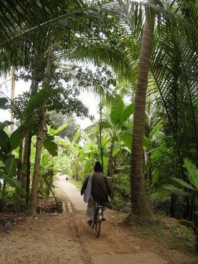 日本語ガイドで検索してHITした”T＆Tツアー”さんのミトーへの一日観光<br />クイズの正解率でツアー料金がただになる・・というユニークなシステムがあり、いいところまでいきましたが残念ながら間違えてしまった。<br />