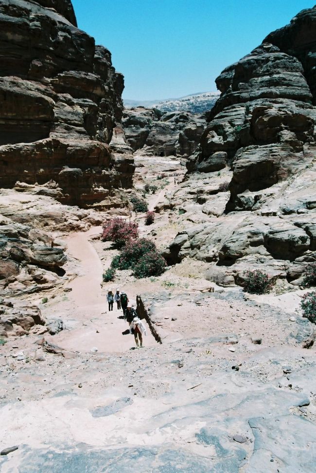 階段を上ること８００段、約１時間…<br />ペトラ観光で一番ハードな区間です。