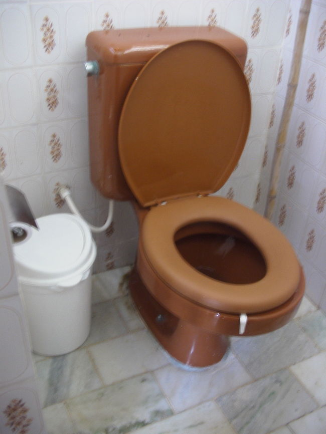 ブラジルのトイレは水洗です。<br />が、紙を流す事ができません。<br />トイレットペーパーの質が悪くて水に溶けないからだそうです。<br />村のトイレだからではなく、空港のトイレでも同じ事です。<br />トイレのすみにゴミ箱がおいてありますのでそこに捨てましょう。<br />ゴミがたまっているとちょっとにおいますが、こまめにゴミを捨てていれば大丈夫です。