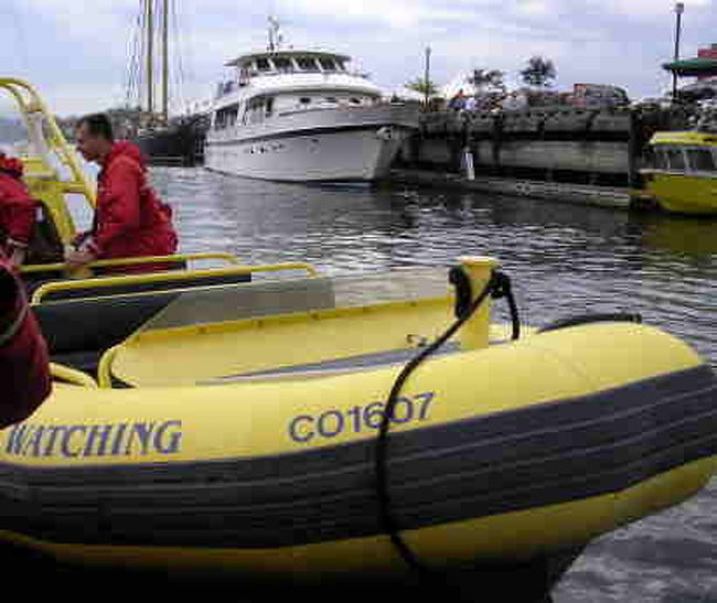 こんなゴムボート（激速）で海に出ます<br />ジェットコースターよりも怖いです（笑）