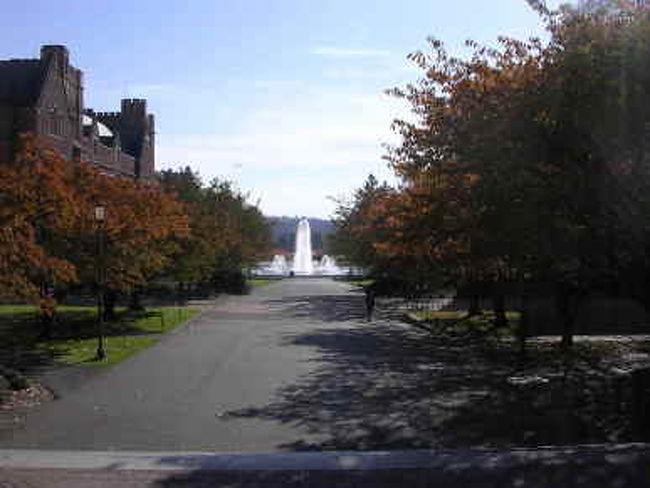 大学<br />二日酔いだったので詳しいことは覚えていない